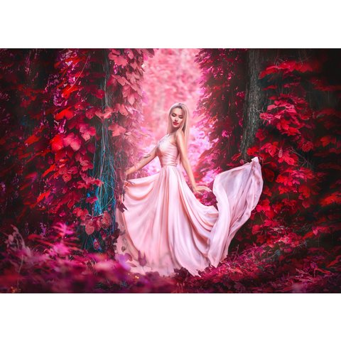 картина по номерам “Девушка в волшебном лесу” 40х50см х-6640