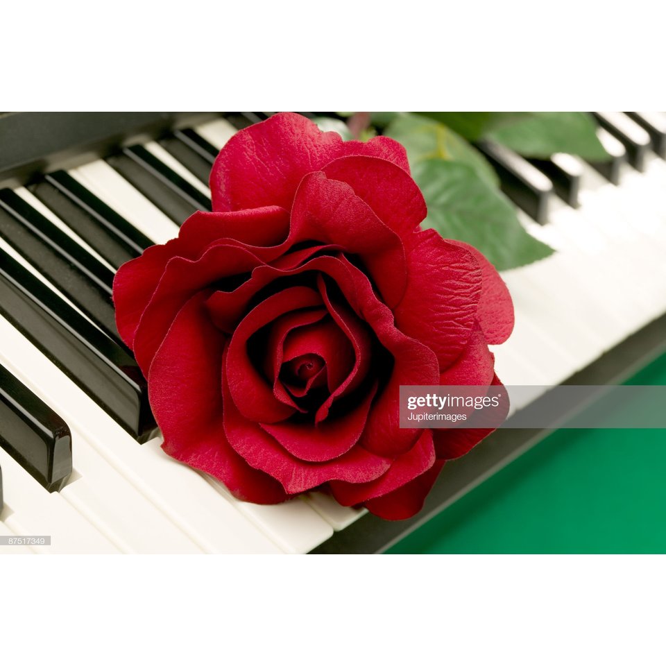 картина по номерам "Роза на фортепиано" 40х50см х-4743