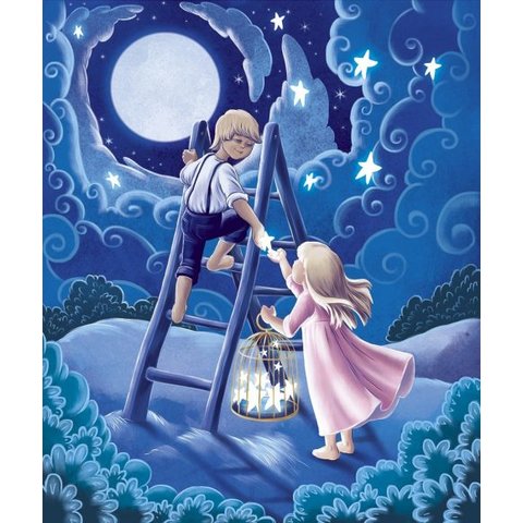 картина по номерам "Я подарю тебе звезду" 40х50см х-3689