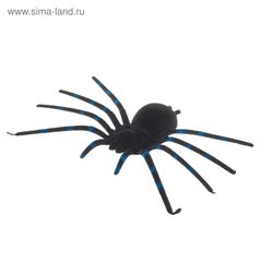 сувенир паук Черный 3489298