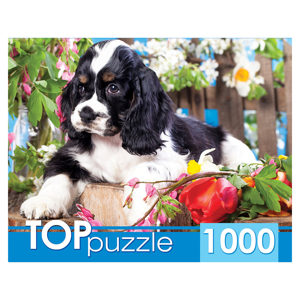 пазл 1000 элементов щенок спаниеля в саду toppuzzle гитп1000-2143