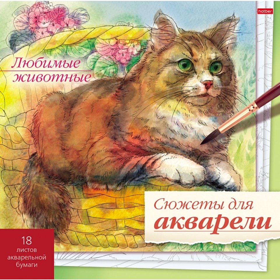 раскраска-эскиз любимые животные 18р4_26268