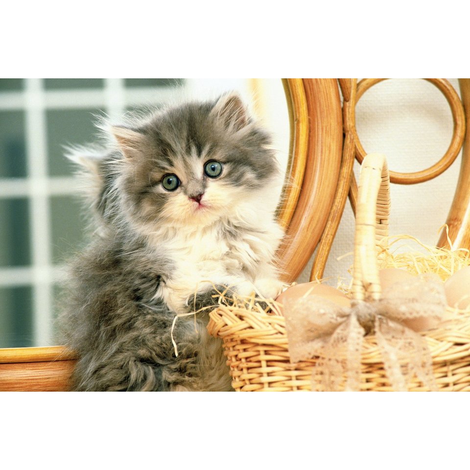Картина по номерам Котенок у корзины, А3, на картоне, р-2280