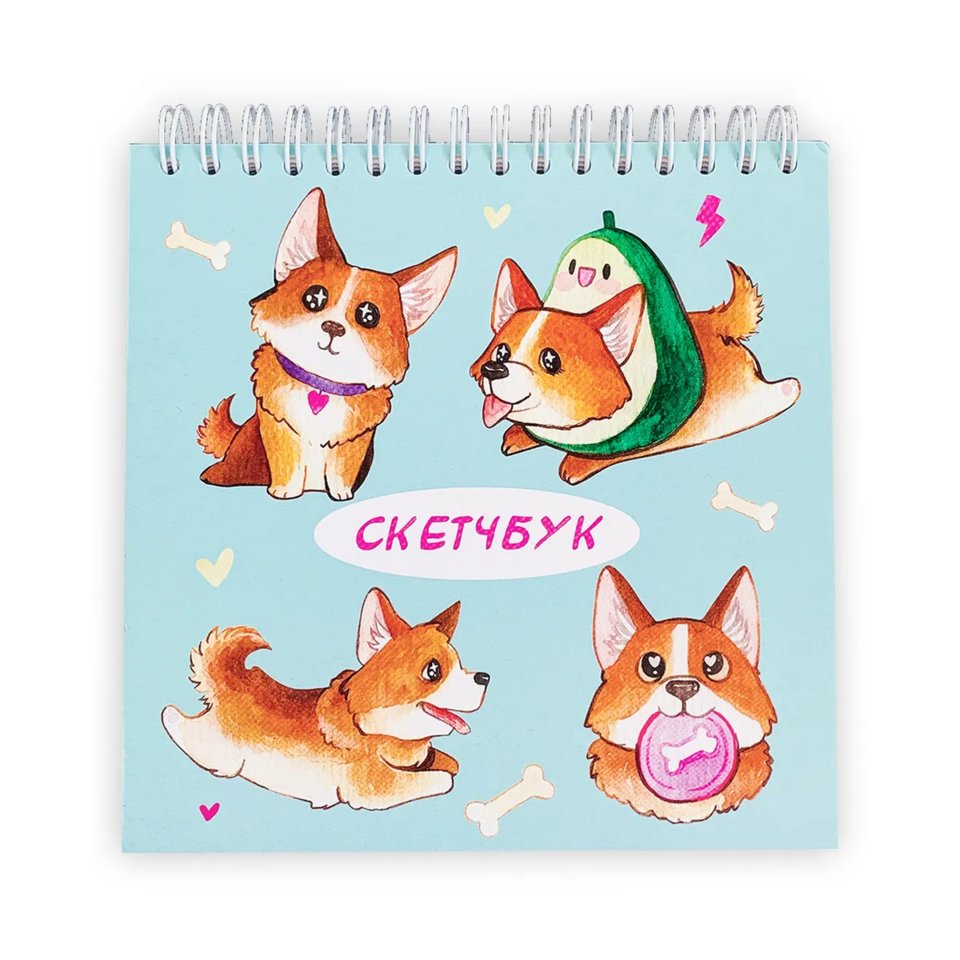 скетчбук А6 квадратный 40 листов Корги 120г/м/200г/м тм-сккв-01