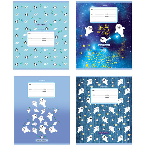 тетрадь 24 листа "arctic dreams" в линейку 8373 327469