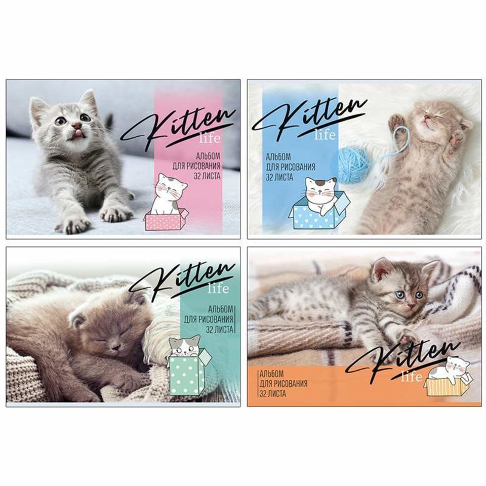 альбом для рисования 32 листа "милый котенок" на гребне 8781 314173
