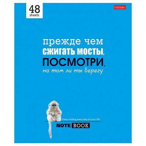 тетрадь 48 листов С Улыбкой По Жизни в клетку 051538