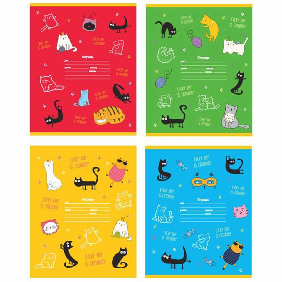 тетрадь 24 листа "cats&cats" в клетку 9853 326229