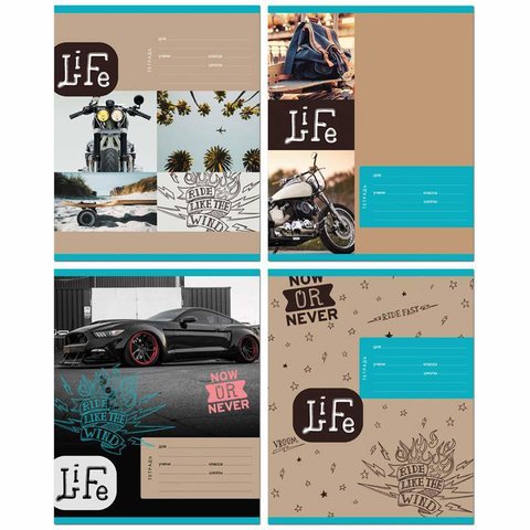 тетрадь 18 листов "сейчас или никогда" в клетку 9017 314146