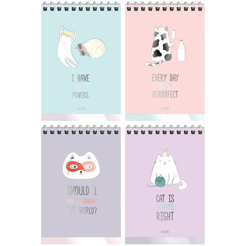 блокнот А6 40 листов "right cat" на гребне 41456 328088