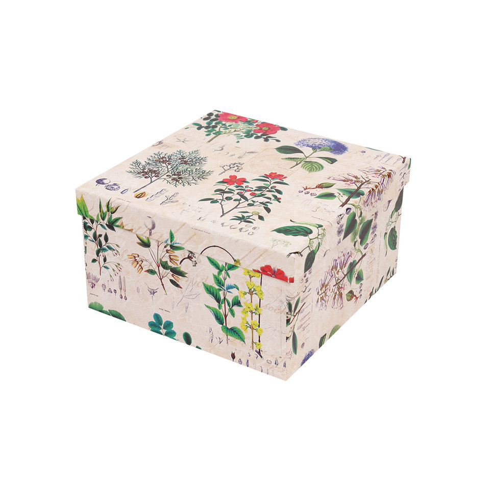 коробка подарочная ботаника 21,5х21,5х11см кор-8667