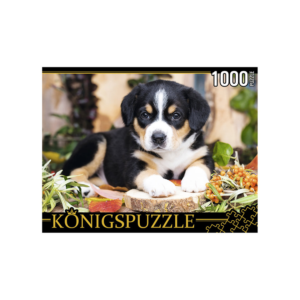 пазл 1000 элементов щенок konigspuzzle штк1000-0645