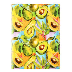 папка на резинке А4 Avocado art 212244