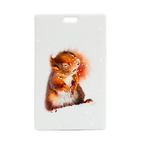 обложка для пропуска Белка и снег ПВХ kw187-000077