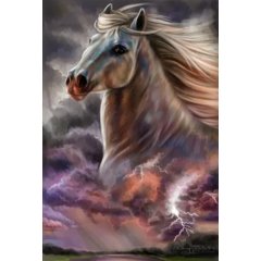 картина по номерам "Белый конь на фоне ночной грозы" 40х50см gx36495