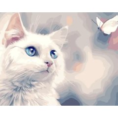 картина по номерам "Белоснежный котенок" 40х50см gx40251