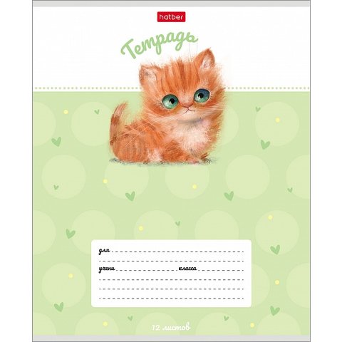 тетрадь 12 листов Кошарики в клетку ассорти 074359