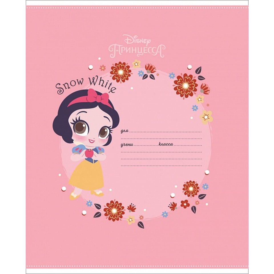 тетрадь 12 листов Принцессы в клетку ассорти 074962