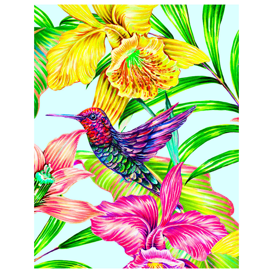 картина по номерам Яркая колибри в цветах 30х40см х-6807