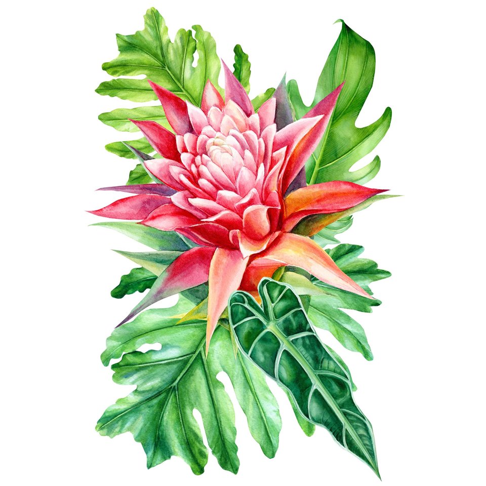 картина по номерам Дикий цветок 30х40см х-9028