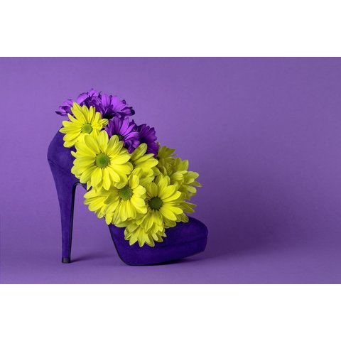 картина по номерам Цветы в туфле 30х40см х-8077