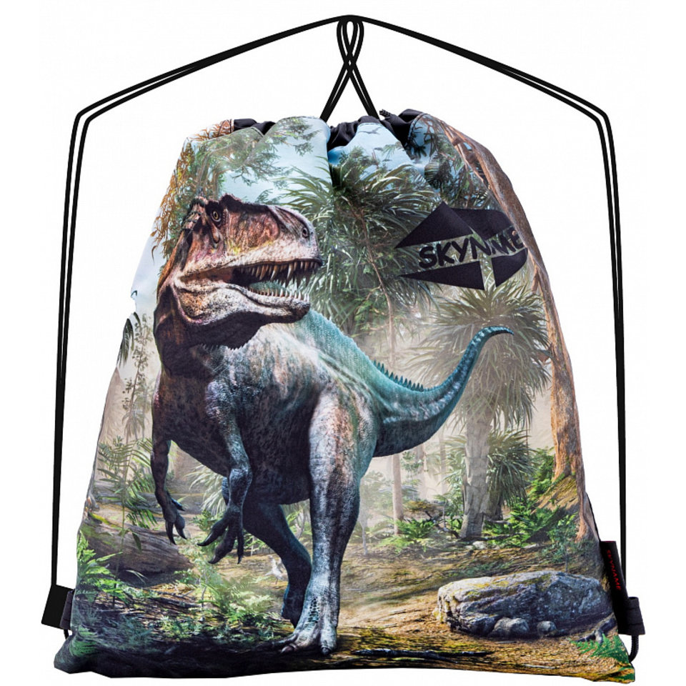 сумка для обуви дино м-152