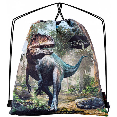 сумка для обуви дино м-152