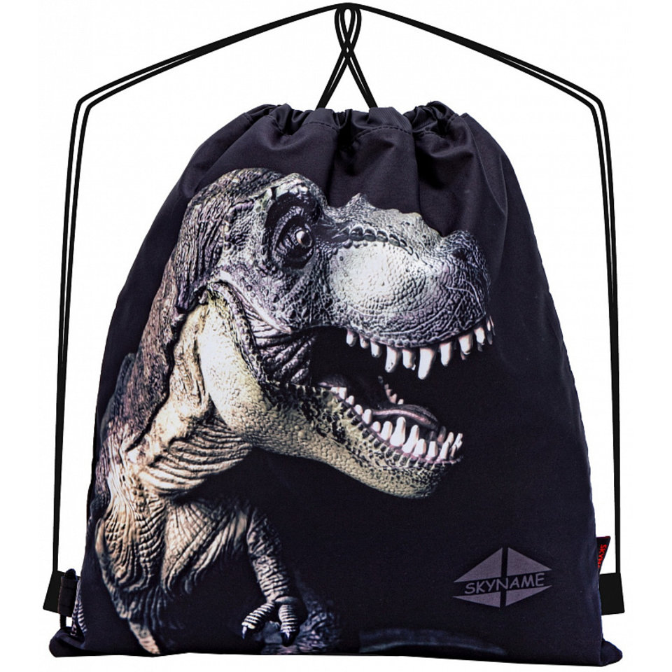 сумка для обуви дино черный м-174