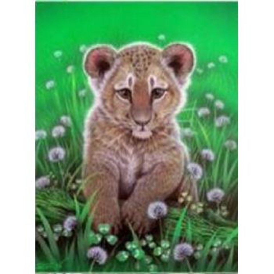 картинки животных открытки