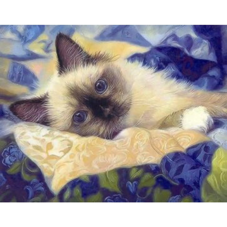 картина по номерам Кот 30х40см tz 13845