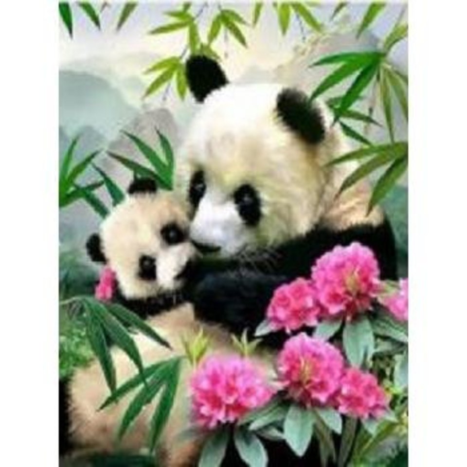 картина по номерам Панды 30х40см tz 13867