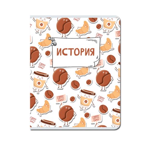 тетрадь предметная 48 листов История Каваи fb303