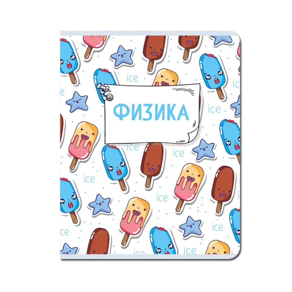 тетрадь предметная 48 листов Физика Каваи fb307 в клетку