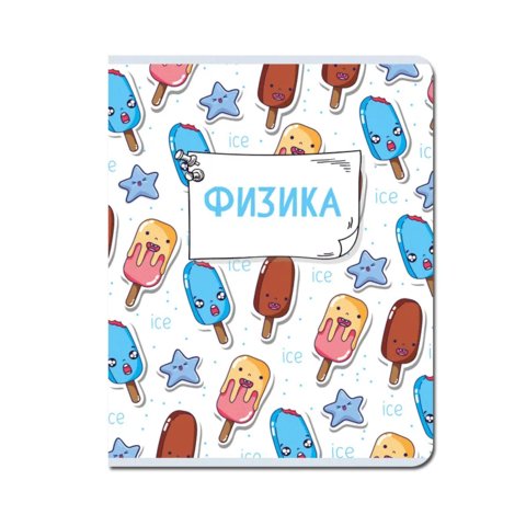 тетрадь предметная 48 листов Физика Каваи fb307 в клетку