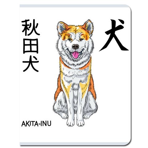 тетрадь 48 листов Кандзи fb266 в клетку