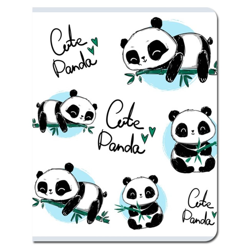 тетрадь 48 листов Экопанда fb264 в клетку