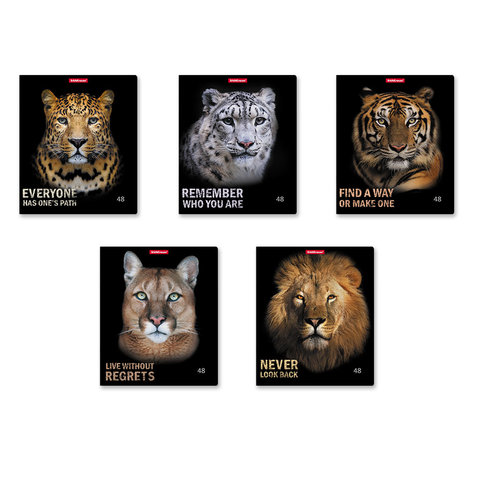 тетрадь 48 листов Strong and Brave в клетку 54258