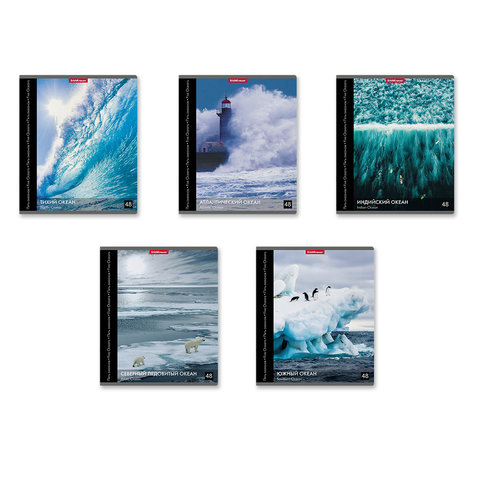 тетрадь 48 листов Пять Океанов в клетку 49641