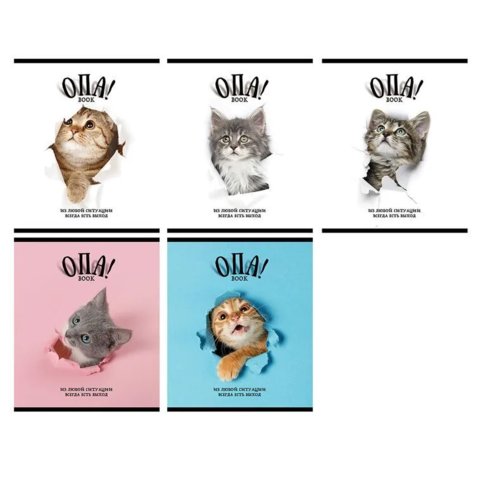 тетрадь 48 листов Опа! в клетку 028664