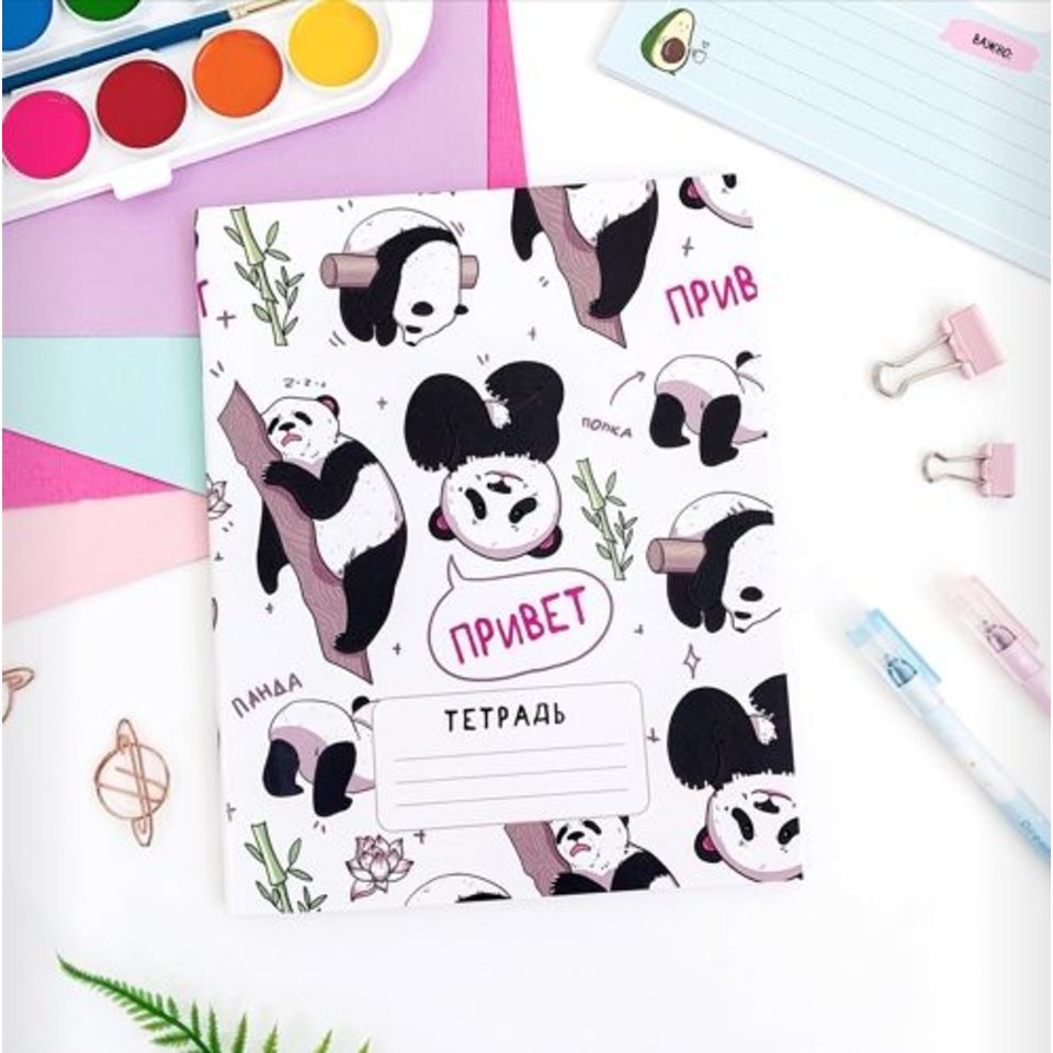 тетрадь 24 листа SWEETCAT Панда Привет Наелся и Спит в клетку трв-12