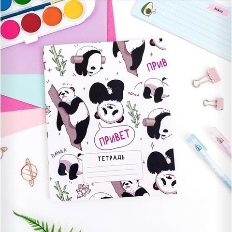 тетрадь 24 листа SWEETCAT Панда Привет Наелся и Спит в клетку трв-12