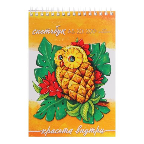 скетчбук А5 20 листов АнанаСова 200г/м с20-3488