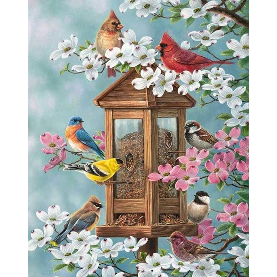 картина по номерам Птички 30х40см tz 13870