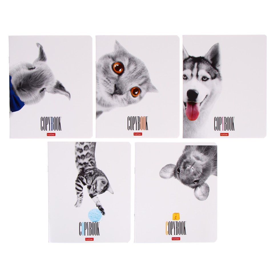 тетрадь 48 листов Кто Здесь в клетку 050356