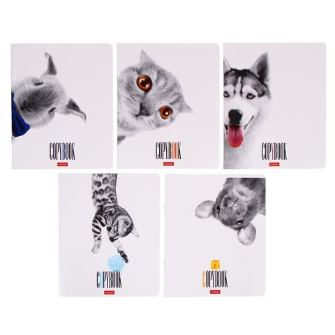 тетрадь 48 листов Кто Здесь в клетку 050356