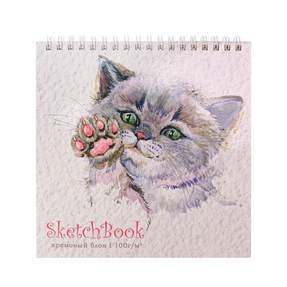 скетчбук А5 40 листов Ласковый Котик на гребне 100г/м 40-0343