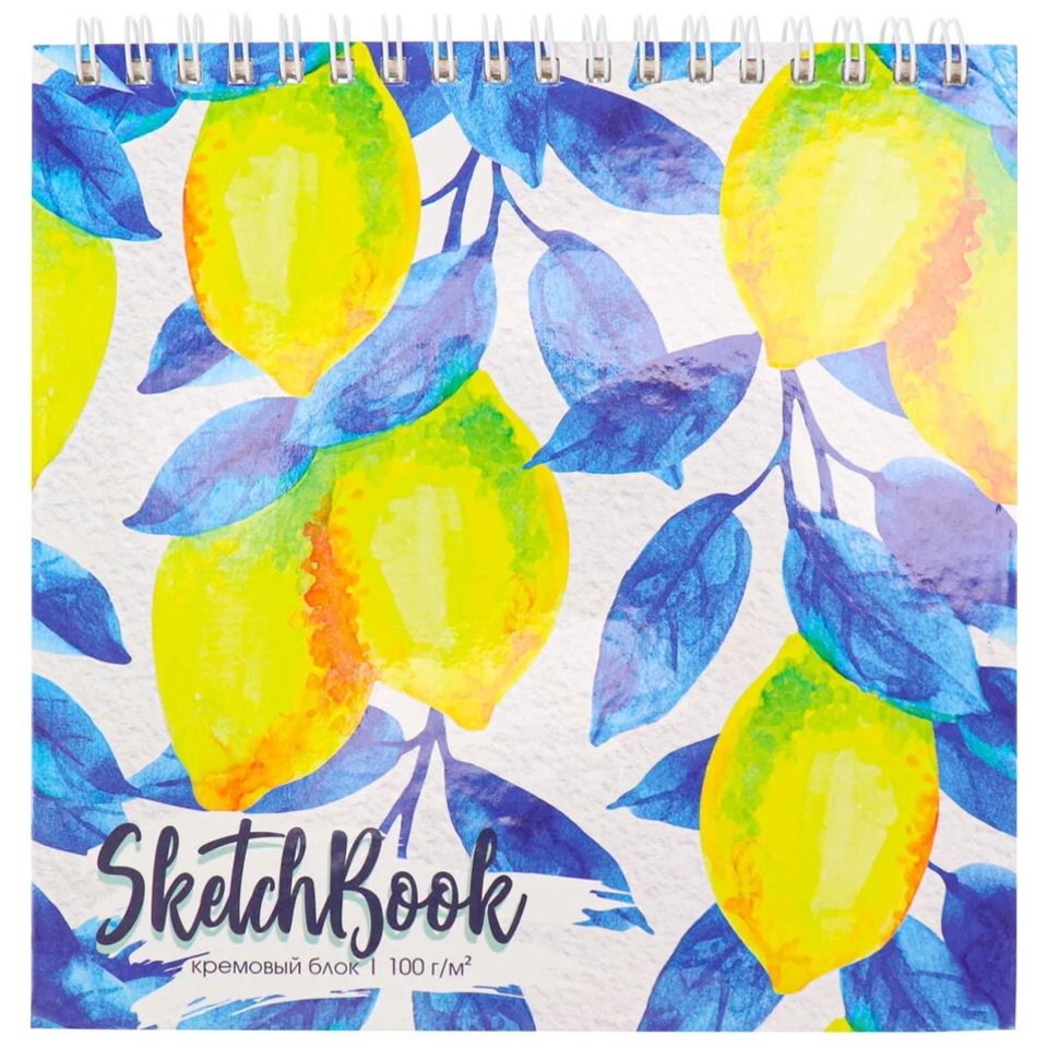 скетчбук А5 40 листов Яркие Лимоны на гребне 100г/м 40-0344