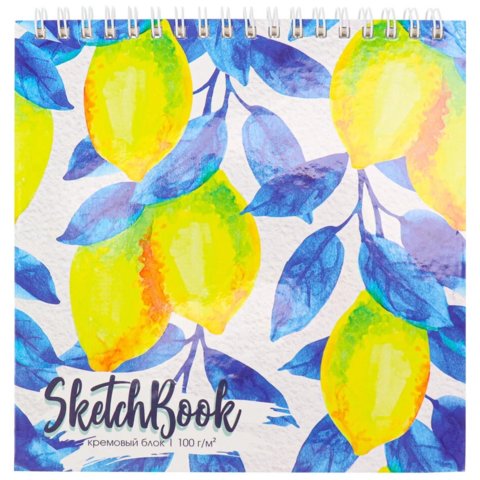 скетчбук А5 40 листов Яркие Лимоны на гребне 100г/м 40-0344