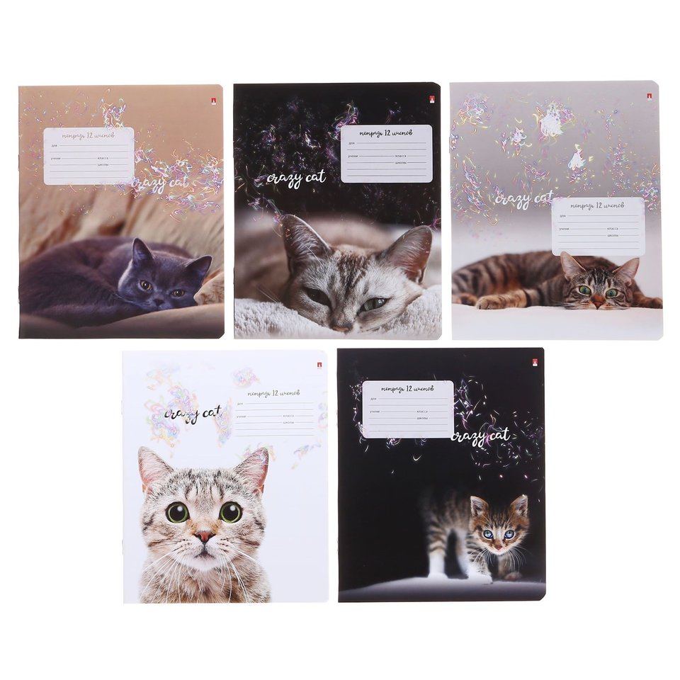 тетрадь 12 листов Удивительные Котята в линейку 7-12-475 2