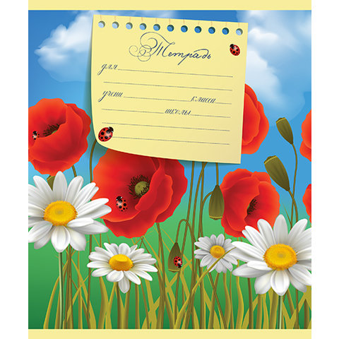 тетрадь 12 листов Раз Ромашка, Два Ромашка в линейку 017175